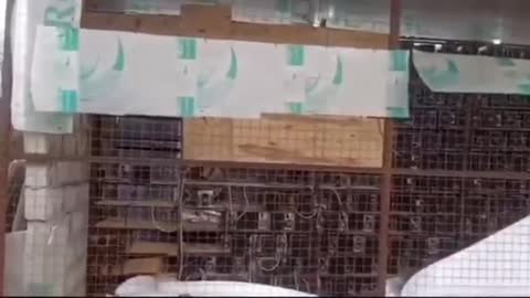 Мега-ферма в Очамчире