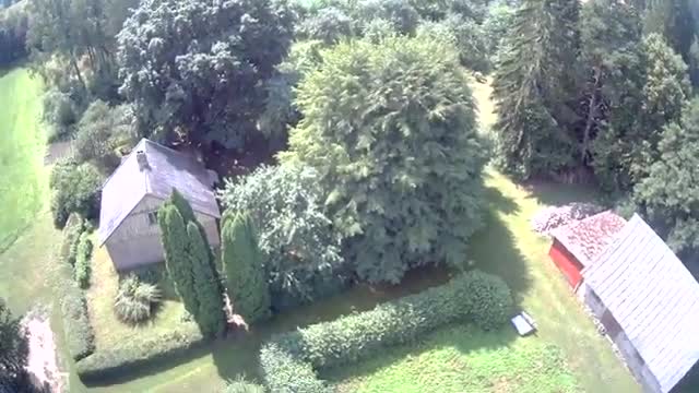 dron21