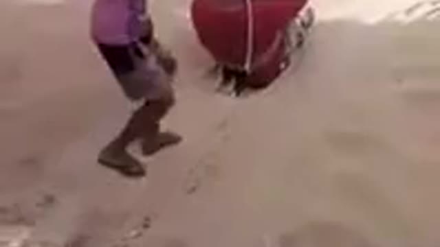 What will happen if you ignore any common sense and get on the zip-line