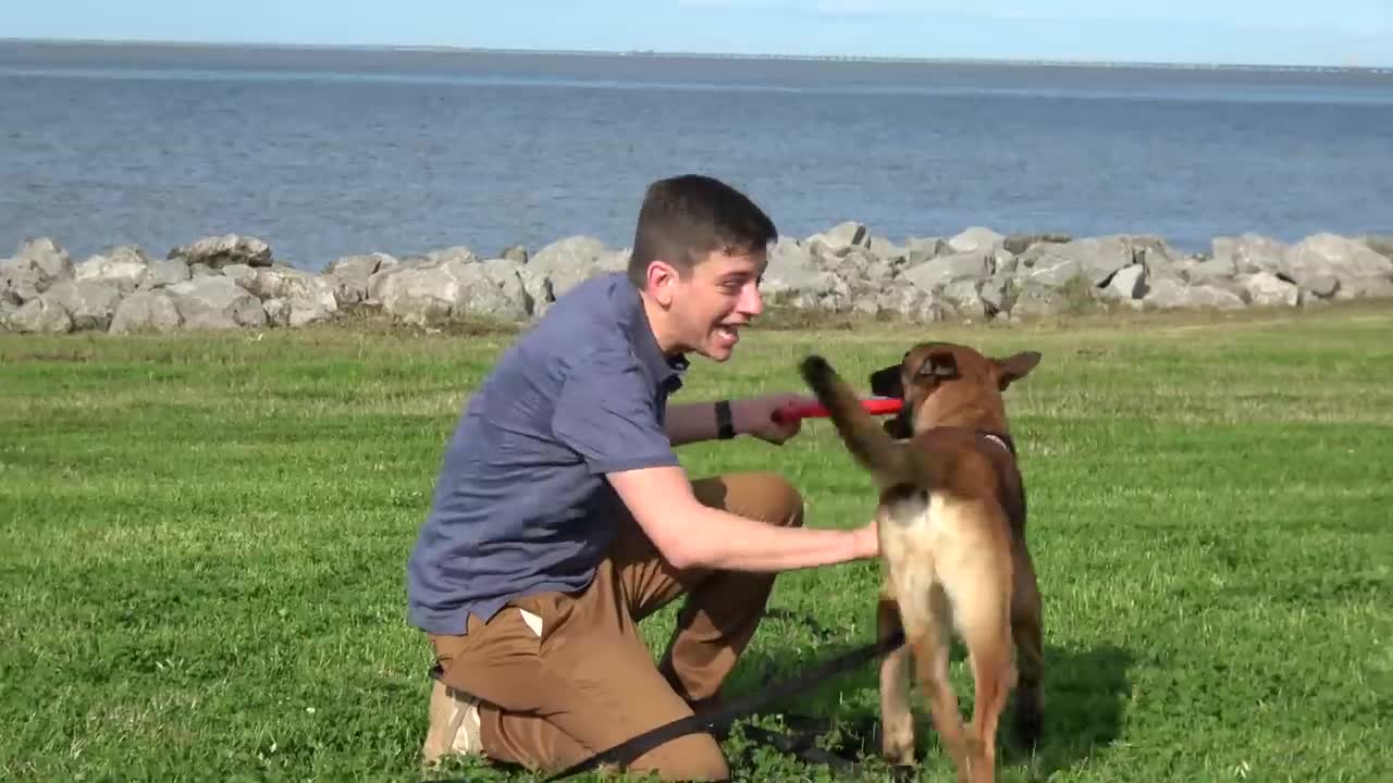 Train ANY Dog How To Play Fetch PERFECTLY