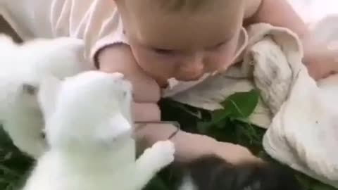 Cute cats around a cute baby