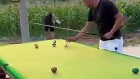 funny video