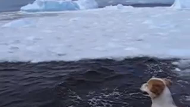 Iceberg Collapsing off Battle Harbour, Labrador