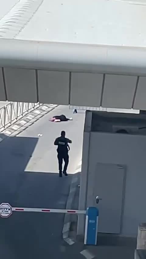 Female Terrorist Shot Dead After Stabbing Attack in Samaria