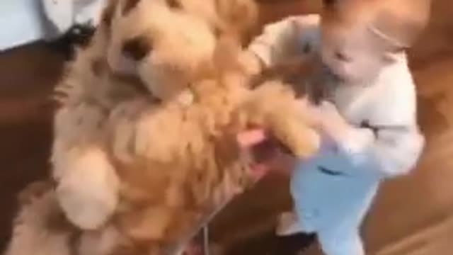 Cute Baby And Cute Dog🔥
