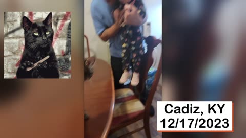 "GET DOWN KITTY, GET DOWN." TWO-YEAR-OLD WANTS CAT OFF THE TABLE!