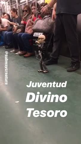 Subway puppet dancing music sing