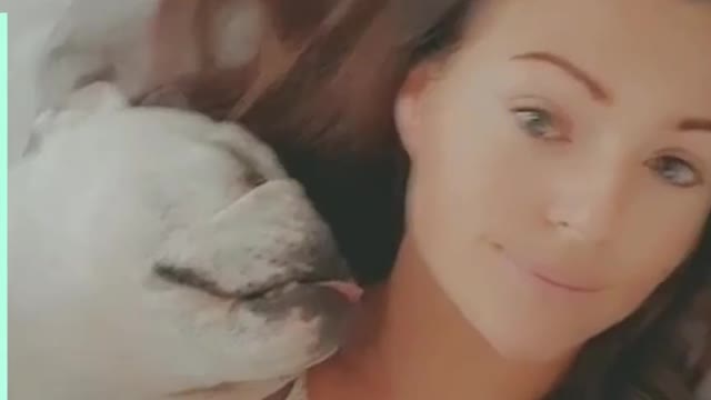 Family matters: Who needs friends when you can have a dog?