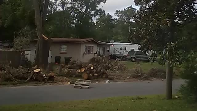 Leaning tree finally comes down.