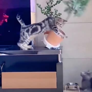 First introductions I can relate to 😍😂🤣