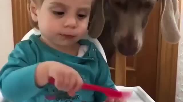 Have a meal time