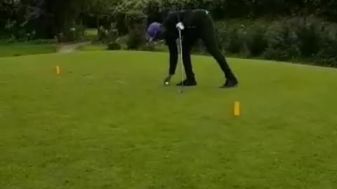 Collab copyright protection - purple hat white glove golf swing