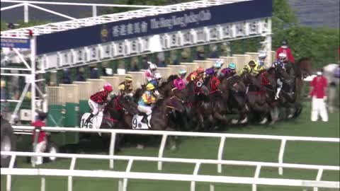 Horse_Race_2022052909_Chinese