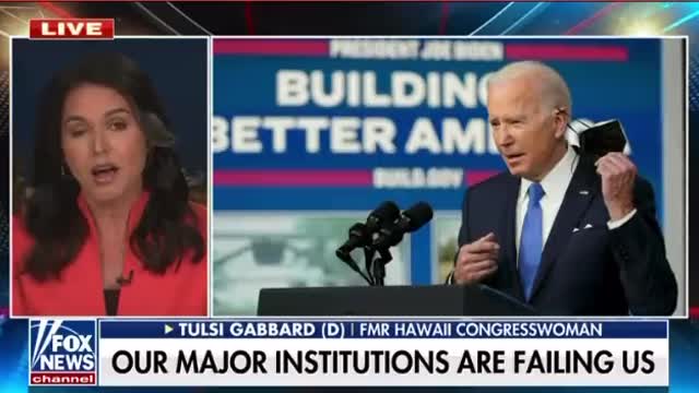 Democrat Tulsi Gabbard single-handedly drains the swamp with BRUTAL takedown