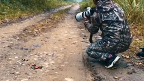 Tiger Photo shoot