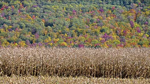 Relaxing New England Autumn