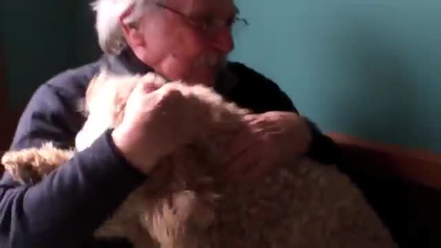 Old man tries to get poodle to sit but gets attacked by kisses instead