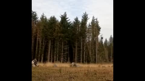 Filming with the GoPro at an ancient site