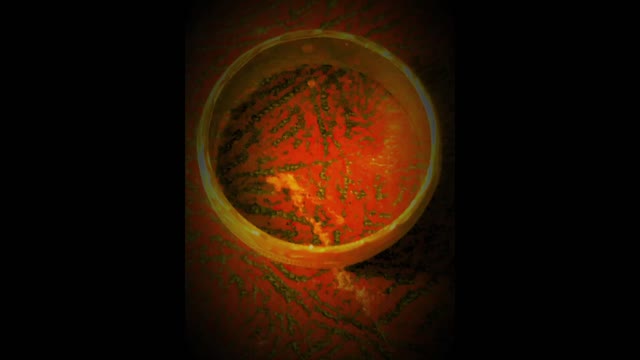 MR. GOLD'S CALLIGRAPHIC HEART