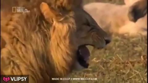 Best Indian memes😂😂😂. Don't laugh challenge😂. It's very funny