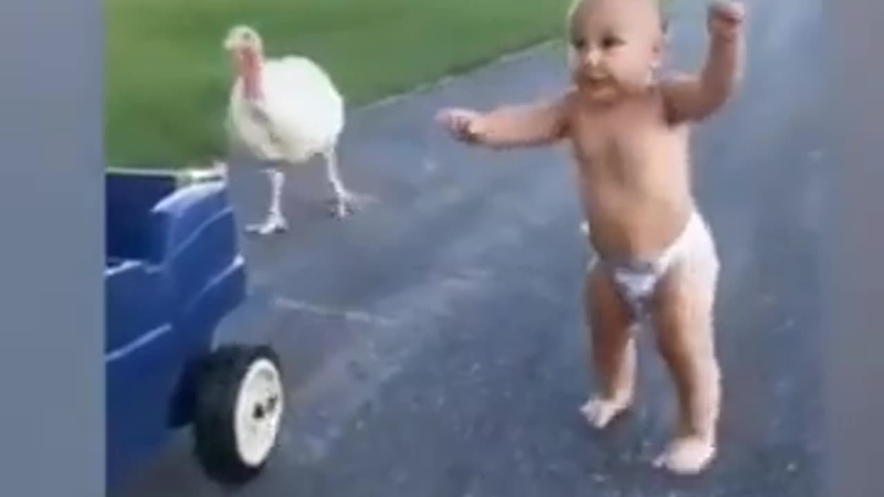 funny baby videos #funnybabies