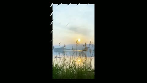 Nature video