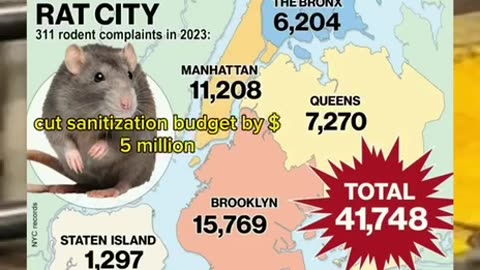 Rats in NYC