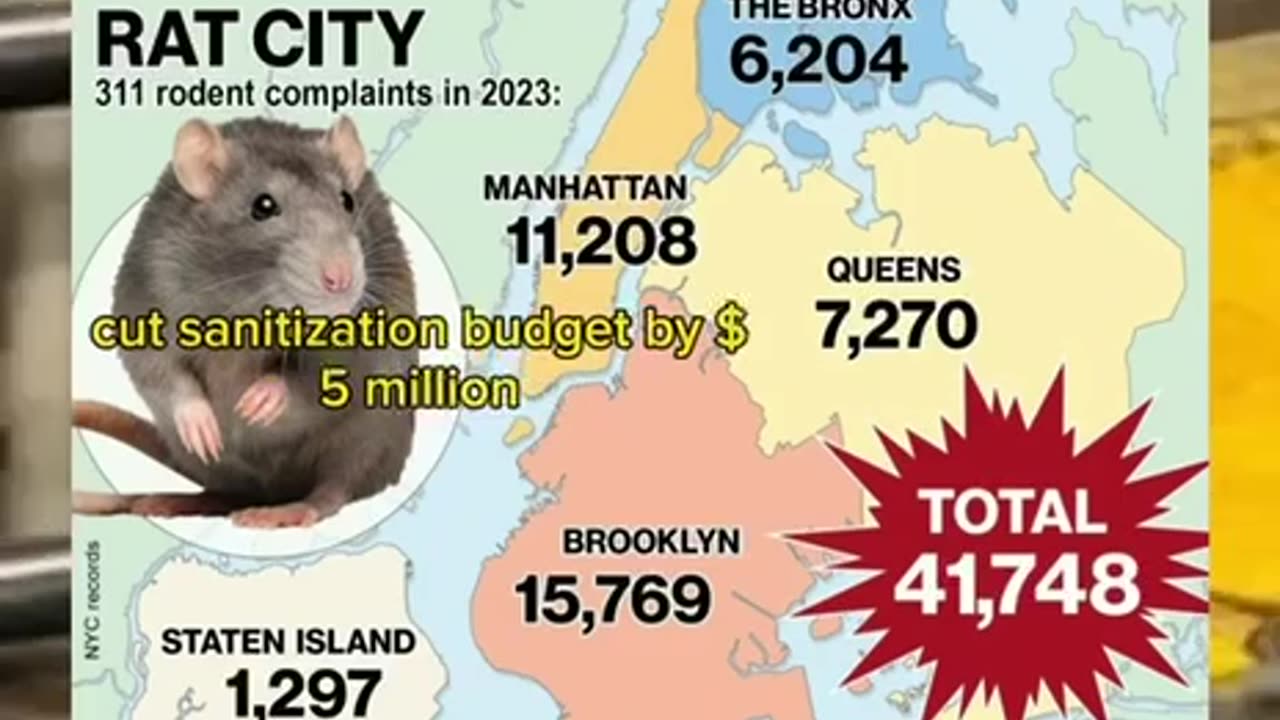 Rats in NYC