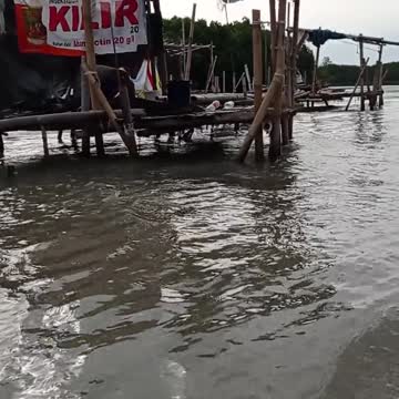 Motor Boat Speeding up