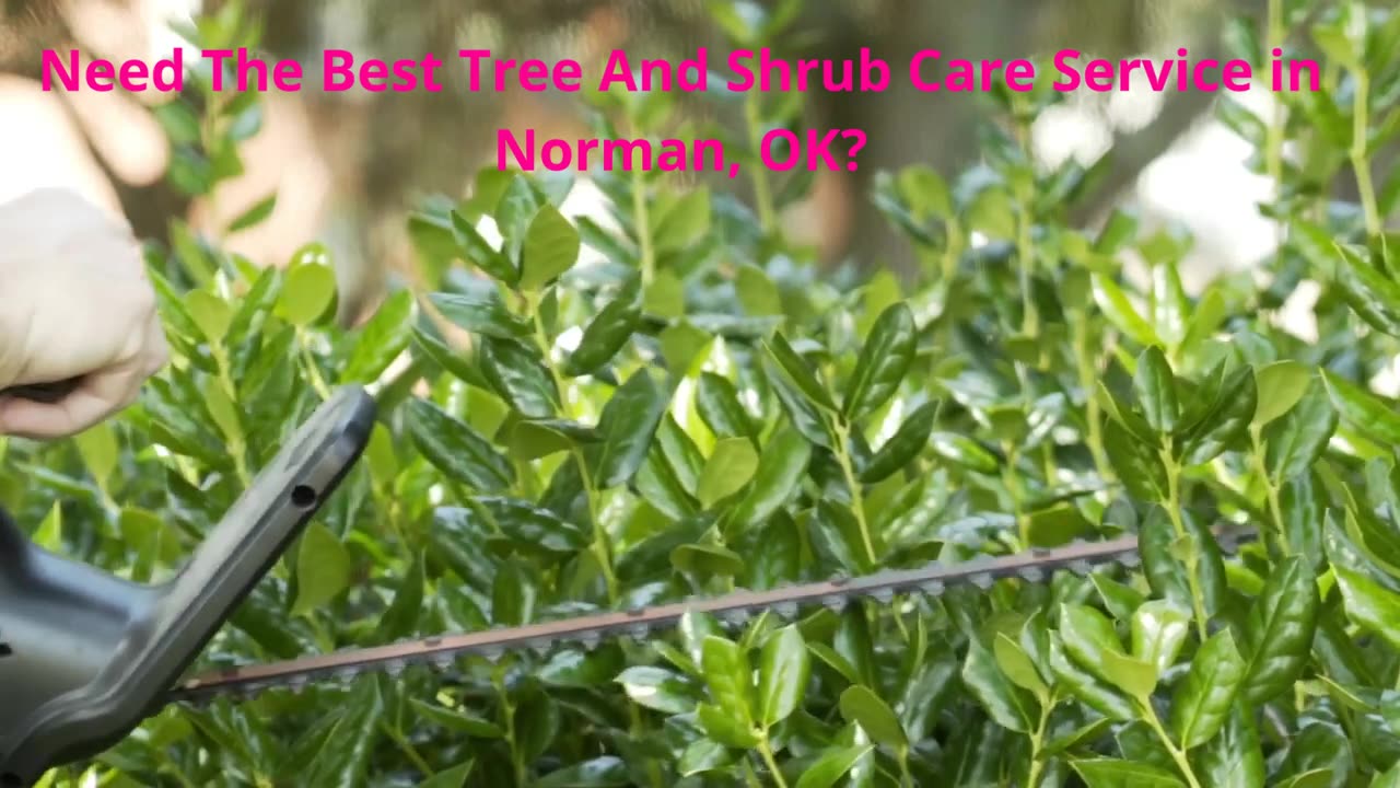 DR. M Enterprises Inc - Tree And Shrub Care in Norman, OK