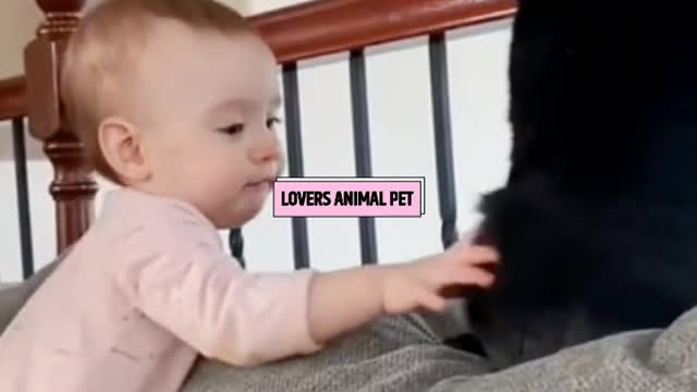 Funny Cat 🧚Cute Baby Magic Love