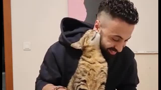 Cat loves owner's piano playing, requests to cuddle with him