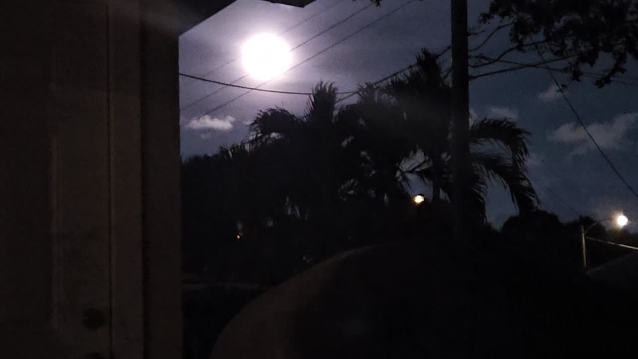 Backyard Moon