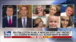 Cotton: Mexican government can't handle the cartel violence