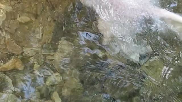 Swimming for the first time in my life