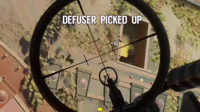 R6 bs