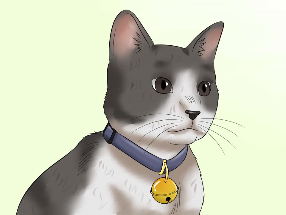 Stop Cats from Getting Birds