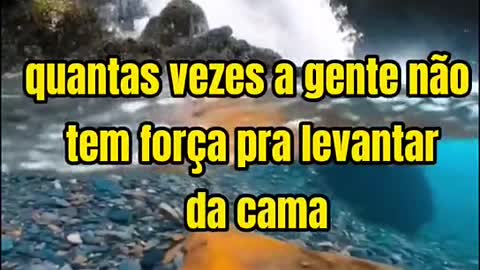 Motivação