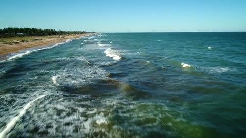 Flying on the seashore over the waves
