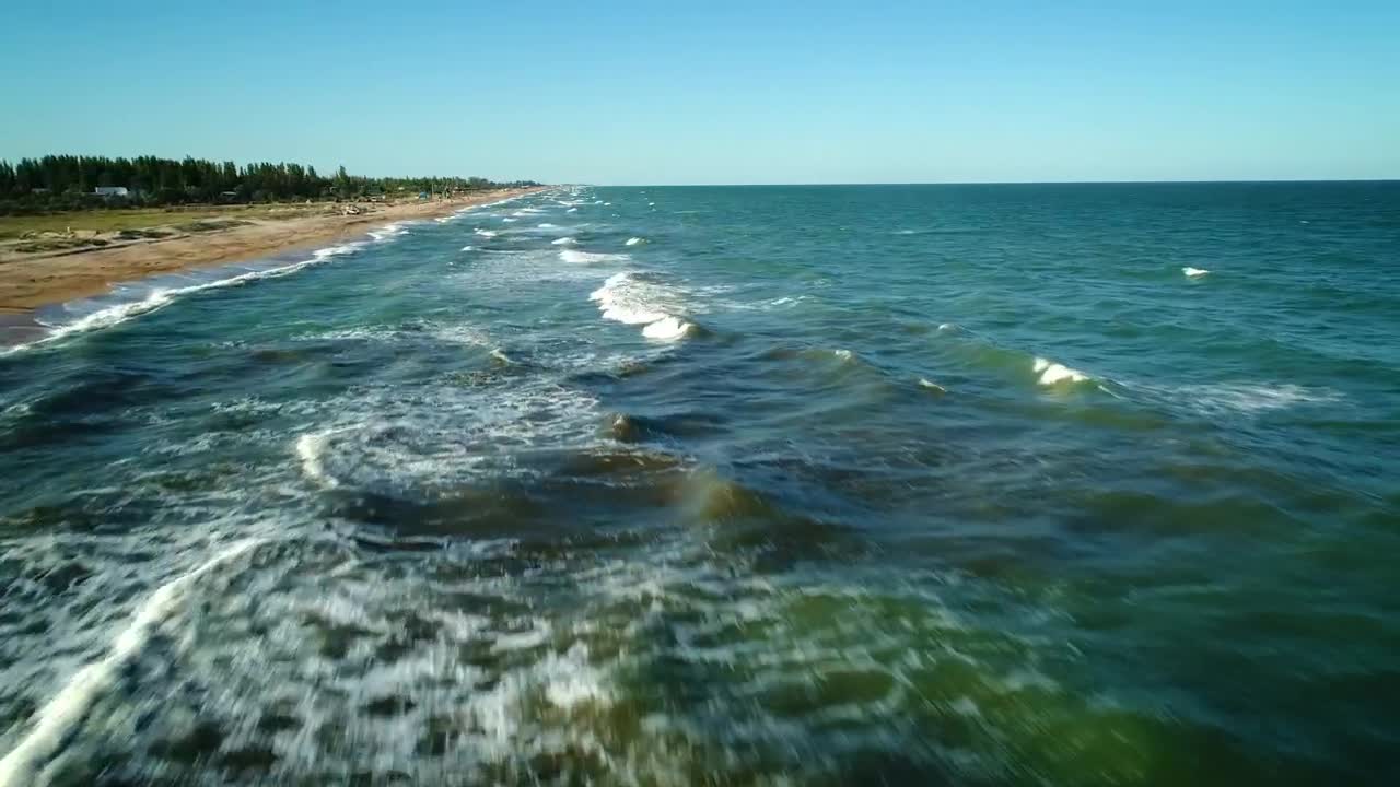 Flying on the seashore over the waves