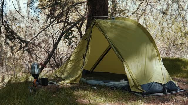 A Tent Under a Tree