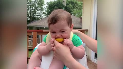 Baby making faces sucking lemon l