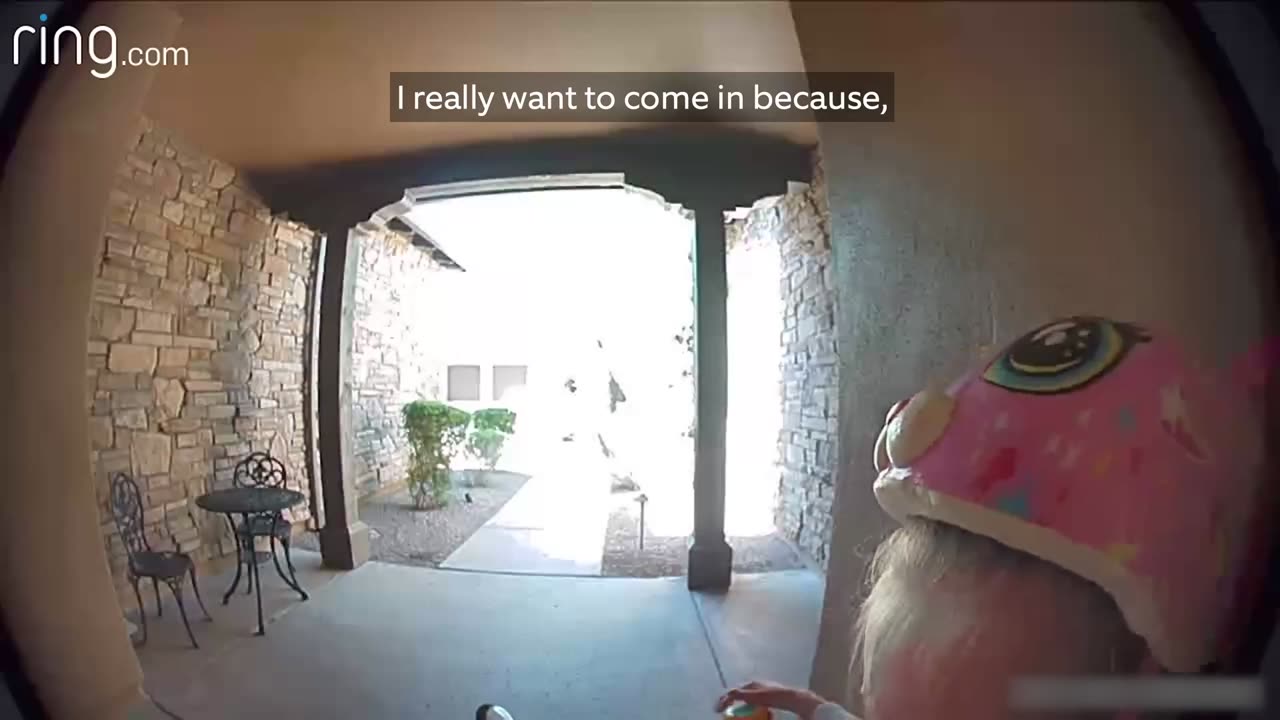 Taylor Talks To Her Neighbor On RING Video Doorbell After Running Away From A Bobcat