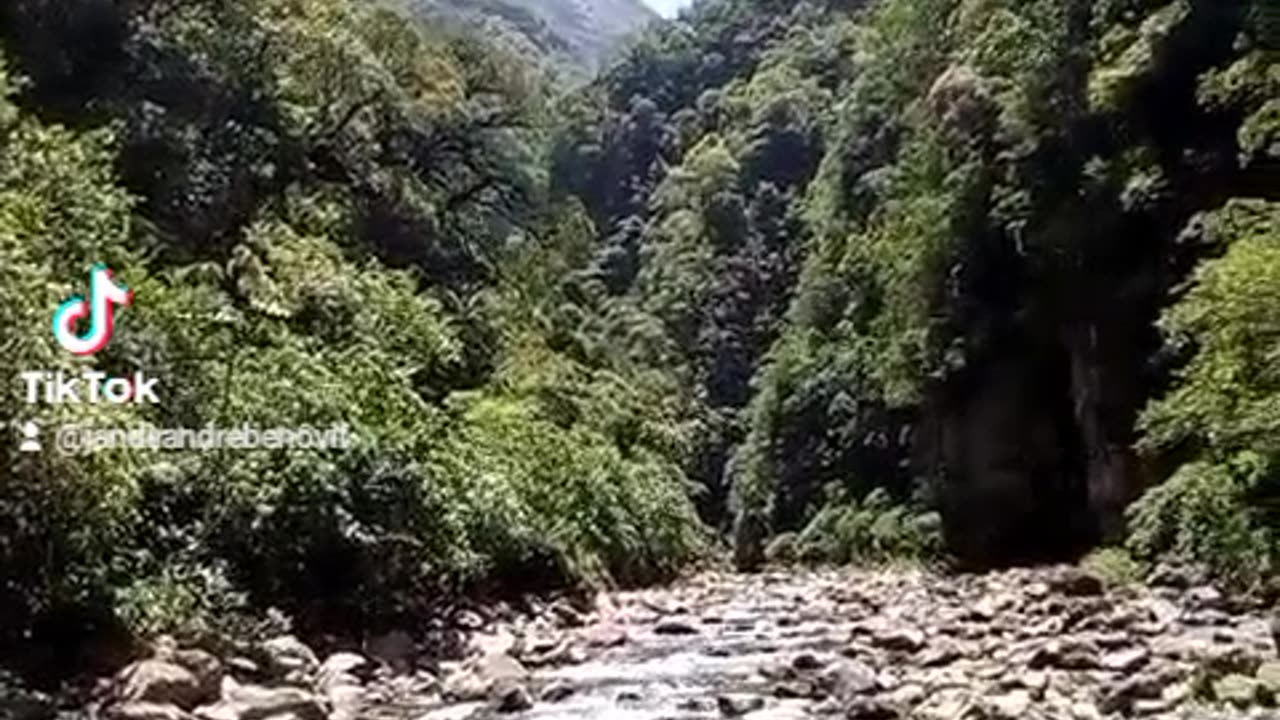 Água limpinha entre os canios