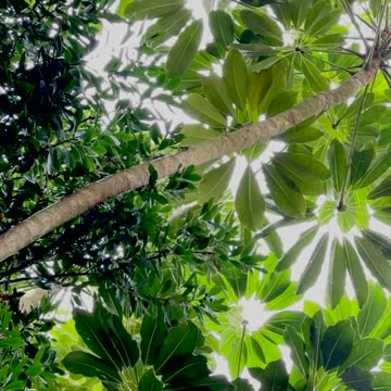 Raindrops Keep Falling on My Head!