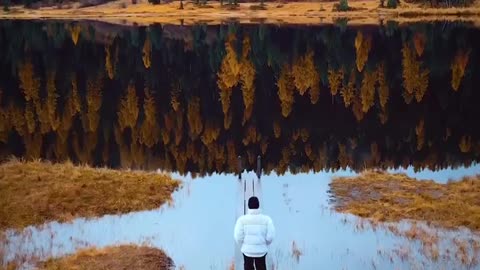 Beautifully places