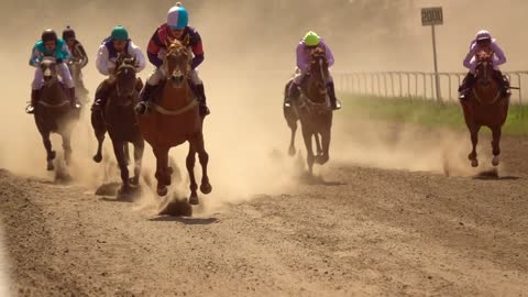 Horse Racing. Slow Motion