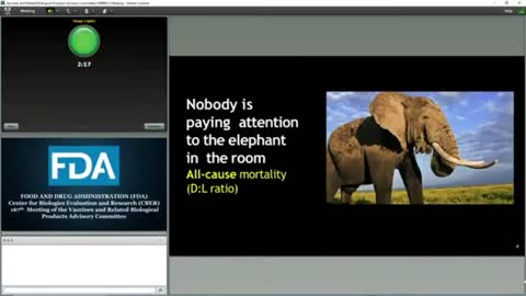 ‘Vaccines Killed Two People To Save One Life’ - Steve Kirsch, Executive Director of the COVID-19 early treatment fund