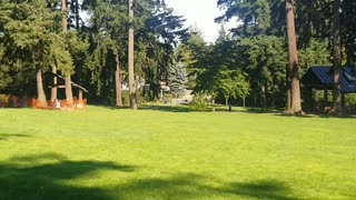 Park Near Seatac Airport