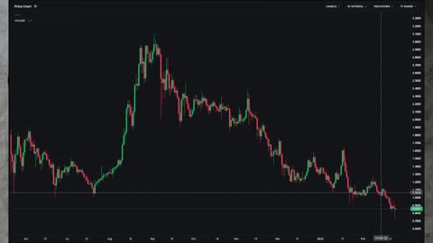 Crypto Market Crash! Is this the bottom?